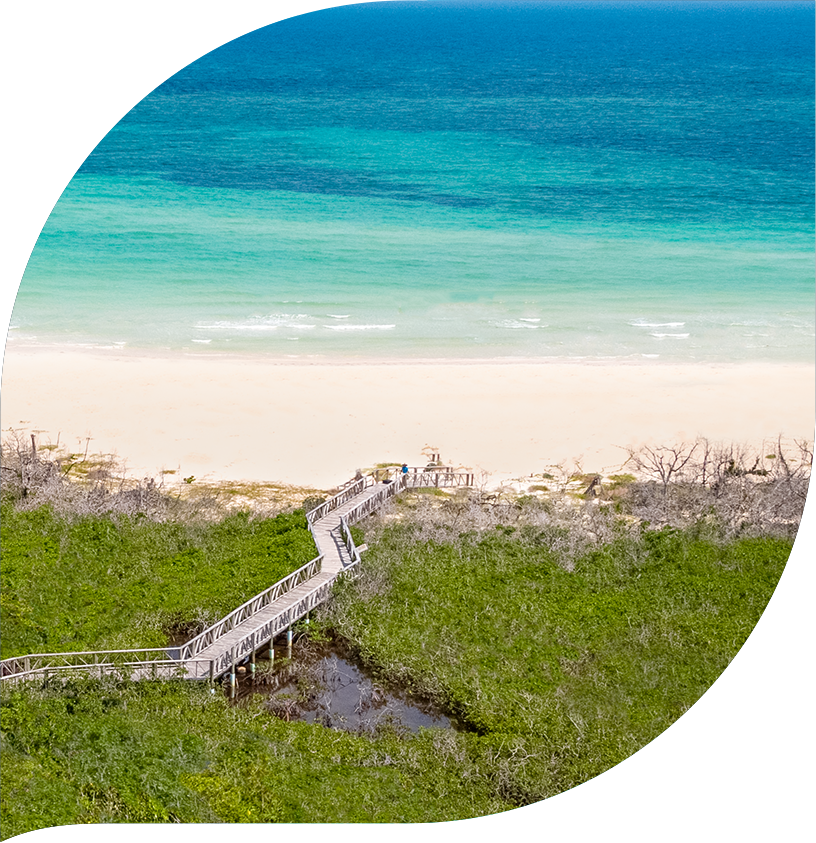 bahamas freeport lucayan homepage nowhere else underwater pristine beaches