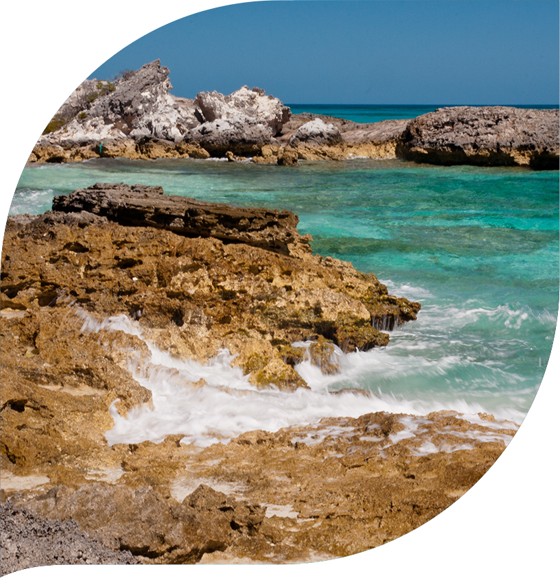 bahamas freeport lucayan homepage nowhere else underwater rocky bluffs