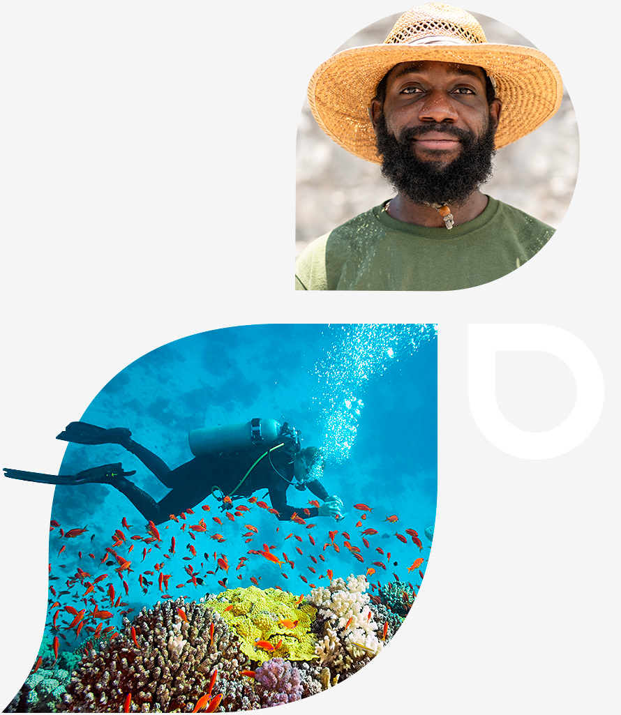 man holding lobster in the top image and man scuba diving in the bottom image