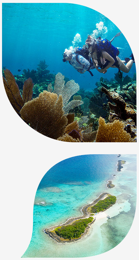 Divers exploring barrier reefs and aerial view of an island