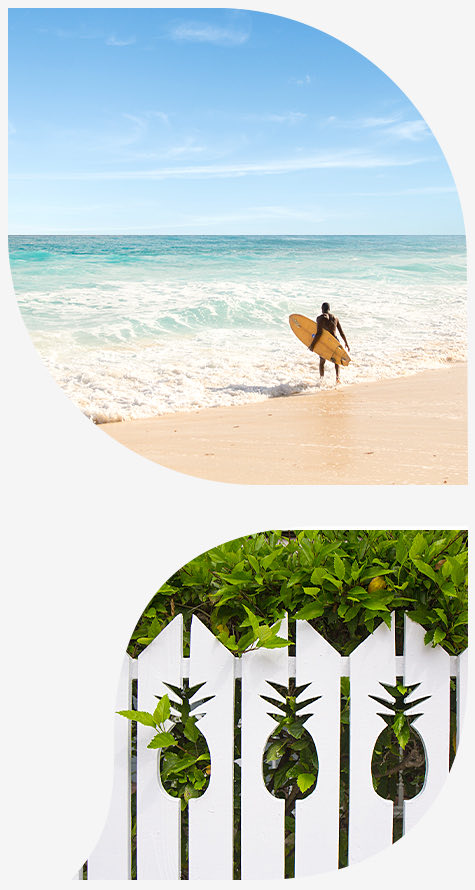 bmot eleuthera mainsite island insider petals images surfers beach