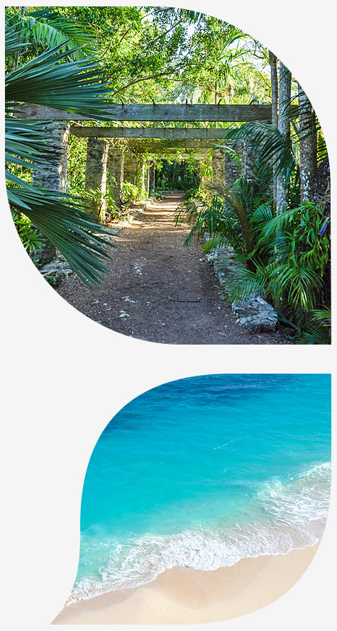 Top image trees and walkway bottom image beach with waves 