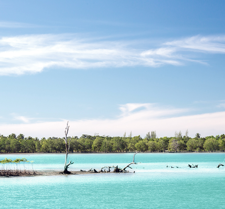 Parc national de West Side Le site officiel des Bahamas Parc national de West Side Le site officiel des Bahamas