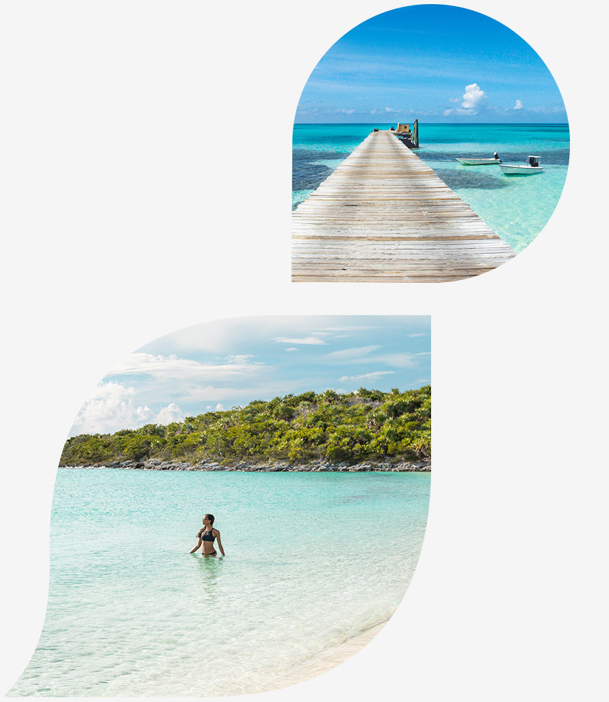 bmot rum cay mainsite intro petals image