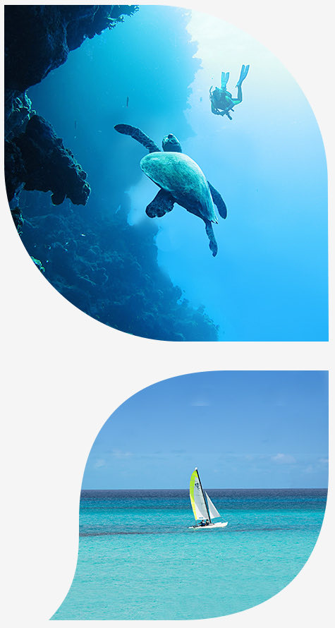 person scuba diving and seeing turtles underwater in the top image and sailboat in the ocean in the bottom image