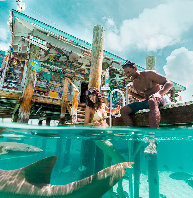 A girl climbing up the latter while looking back and watching the sharks and fish in the water. A guy is sitting next to the latter on the dock watching the sharks and fish in the water too.