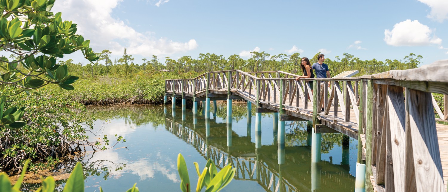 Lucayan National Park - Explore The Bahamas - The Official Website Of ...