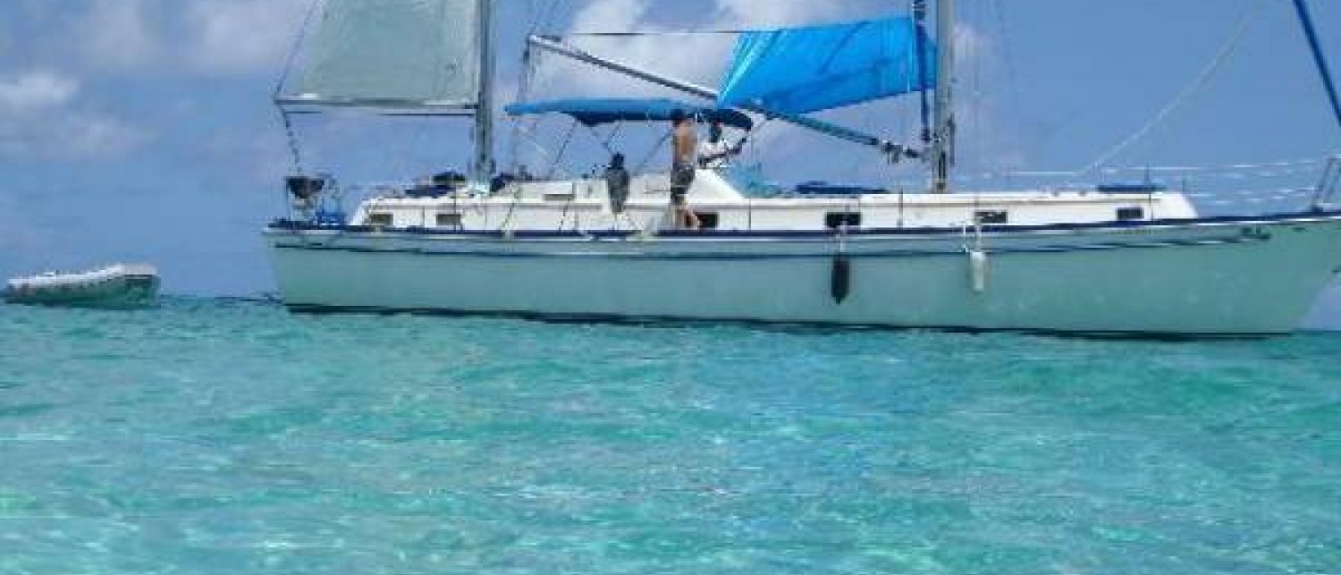 barefoot sailboat cruises