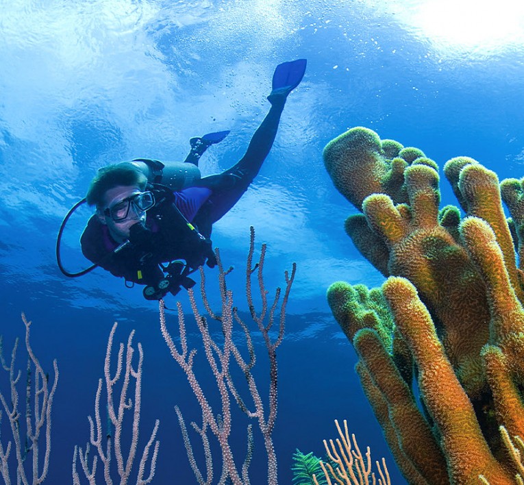 The Berry Islands in The Bahamas - Unparalleled Big Game Fishing