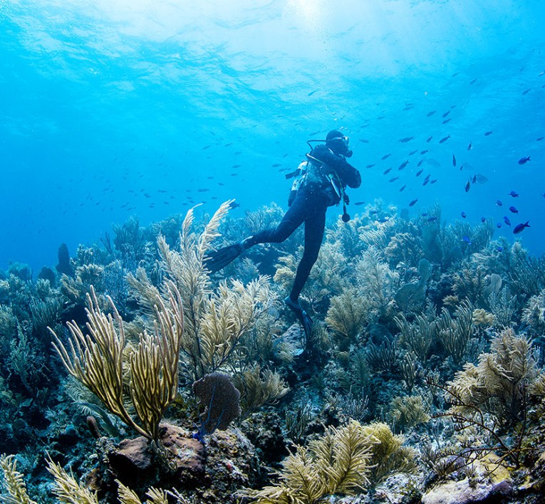 Mayaguana in The Bahamas - Footprint-Free Beaches to Fishing Hotspots