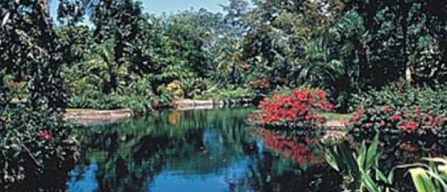 Nassau Botanical Gardens 