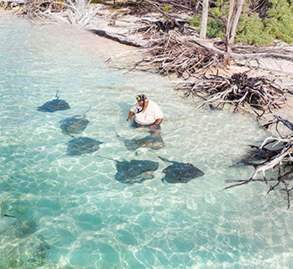 Man swimming with Stingrays