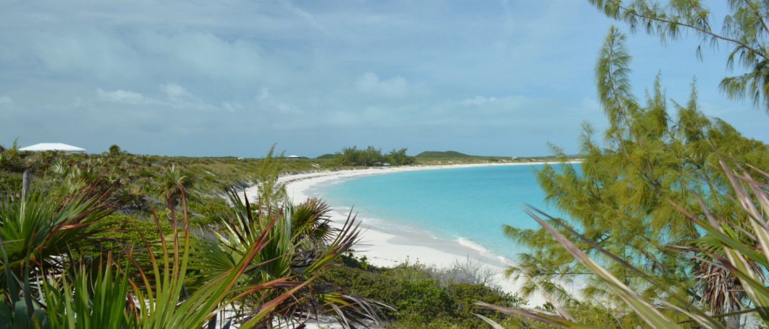 Compass Cay Marina & Resort - Hotels In The Bahamas - The Official 