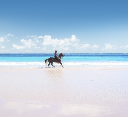 man riding brown horse with blue ocean in the background
