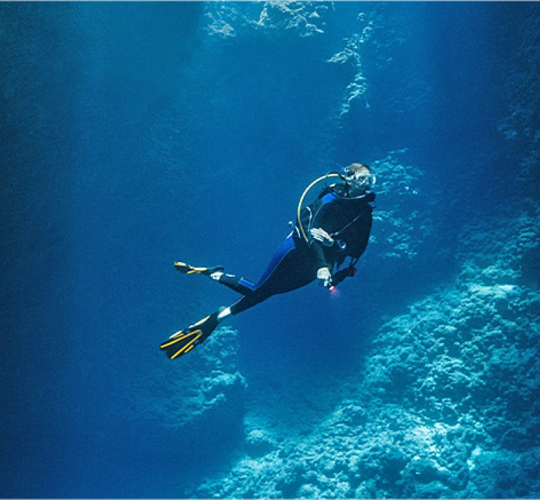 Underwater Shot of Scuba Diver