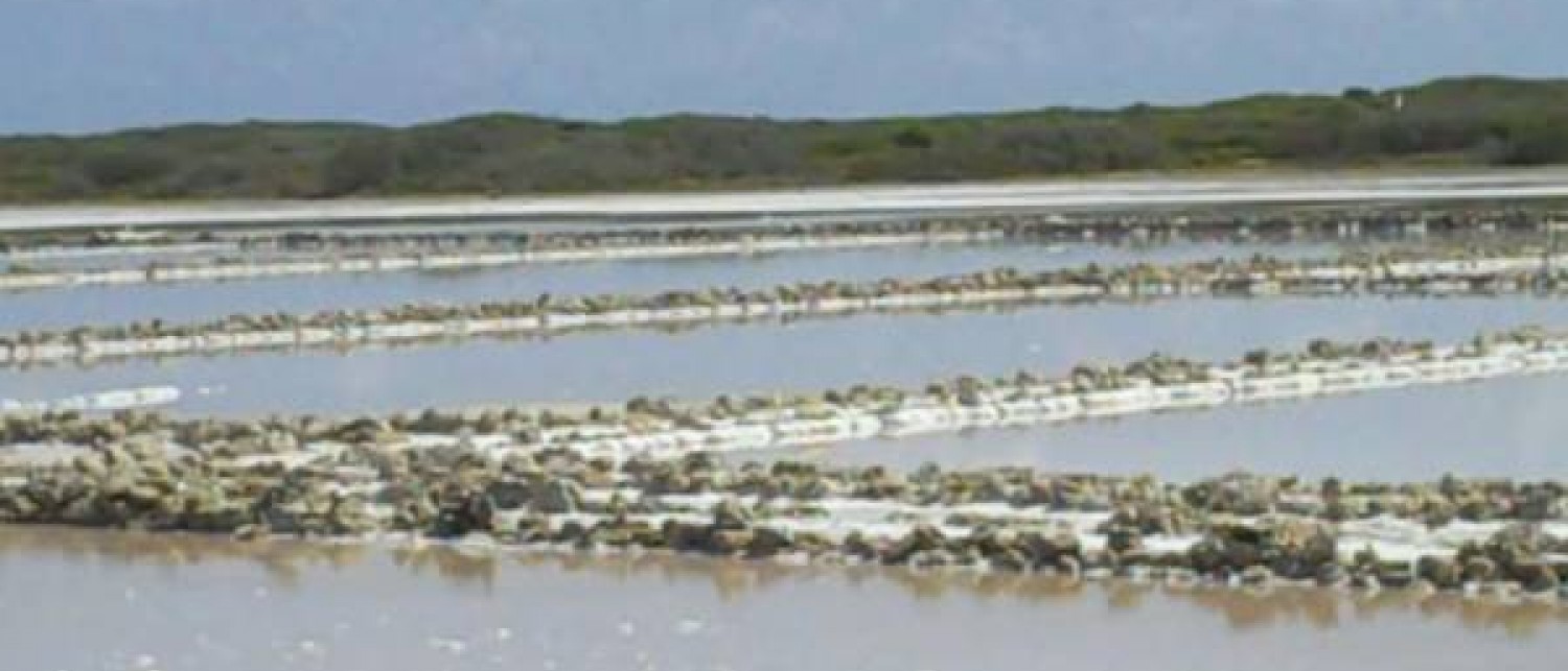 Ragged Island Salt Ponds Explore The Bahamas The Official site