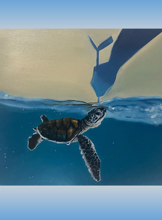 turtle_page